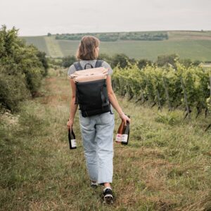 DIY Weinwanderung auf eigene Faust