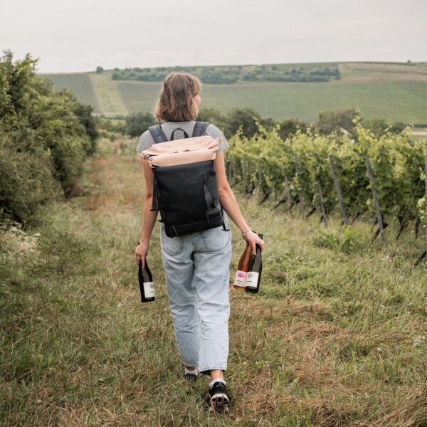 DIY Weinwanderung auf eigene Faust